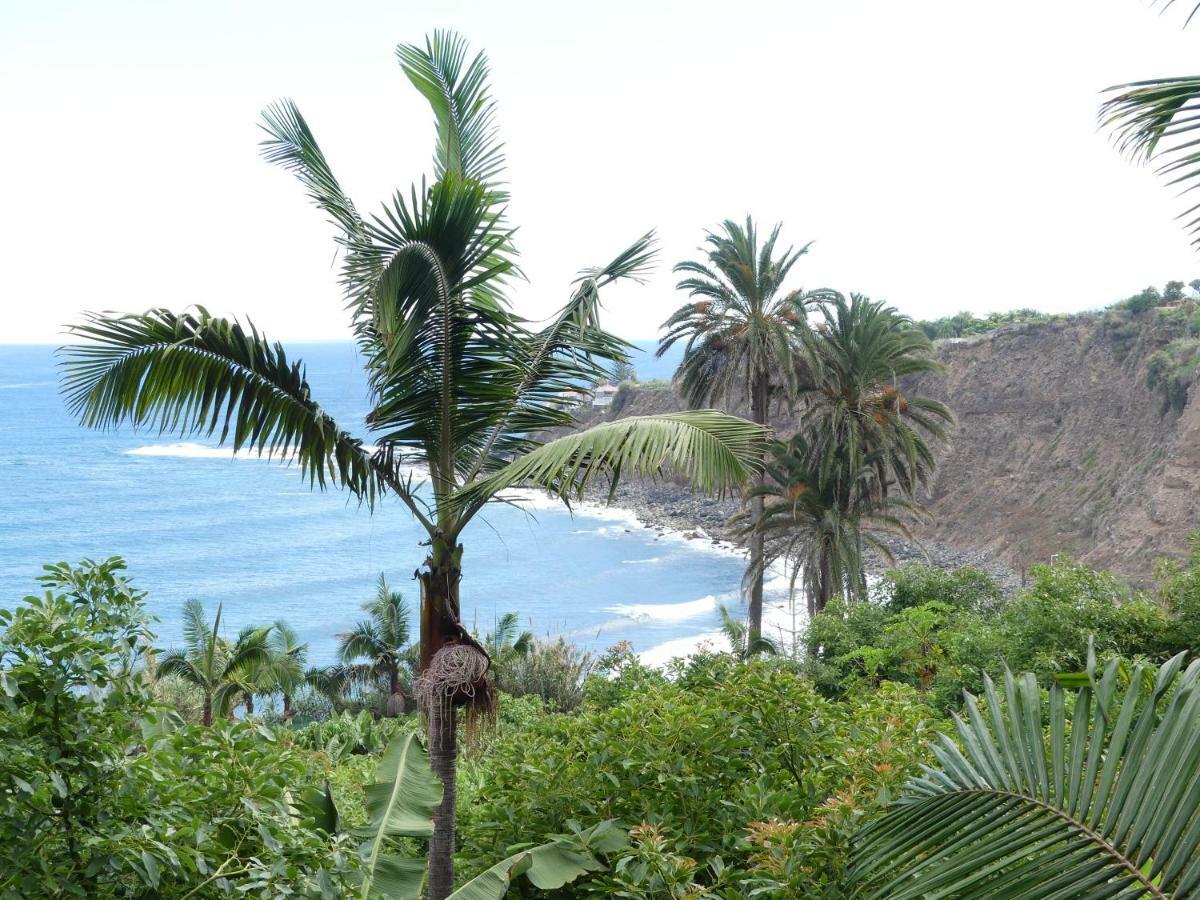 Finca Dona Juana ลอส เรอาเลคอส ภายนอก รูปภาพ
